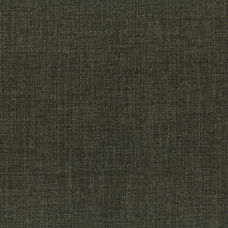 Forest 56