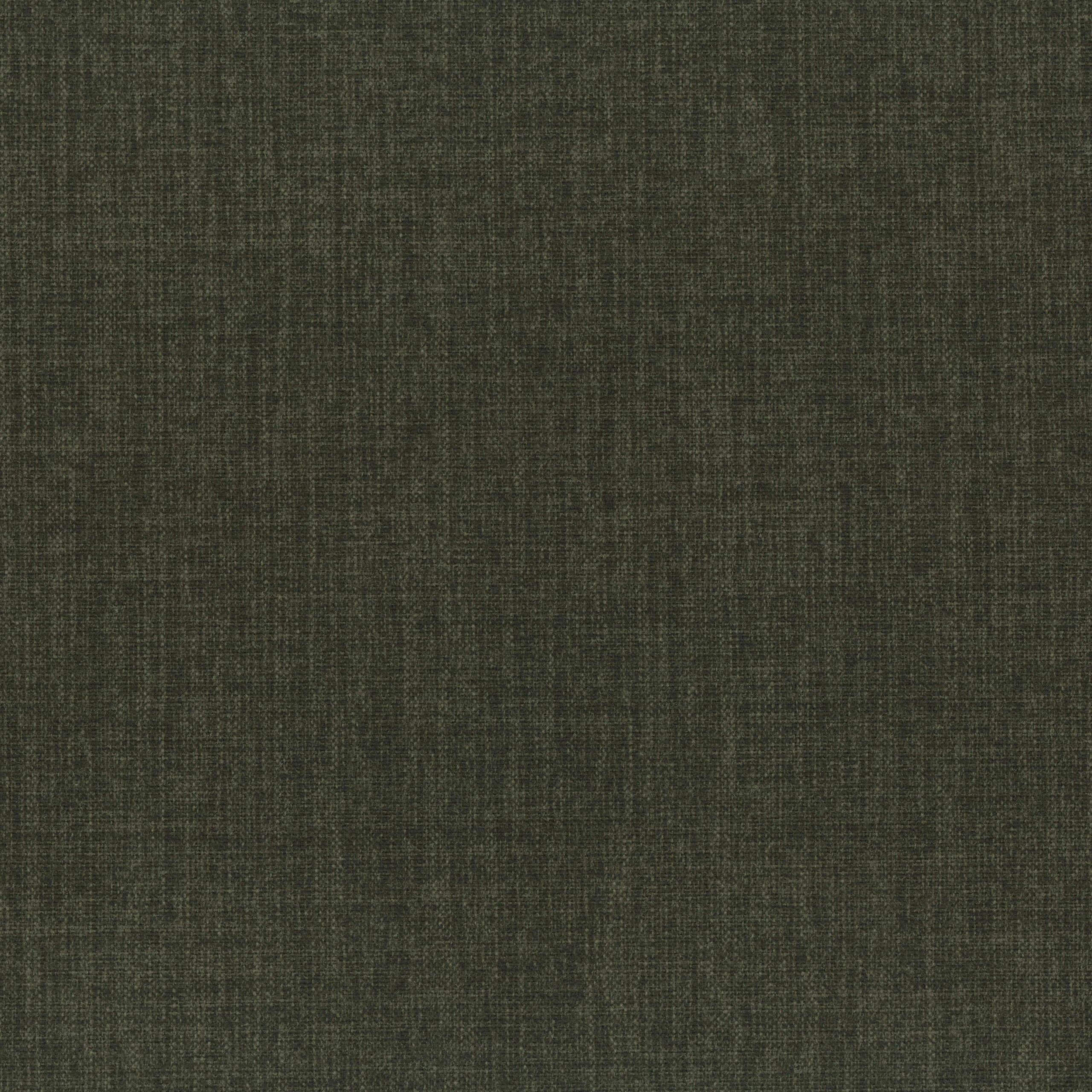 Forest 56 | Capri
