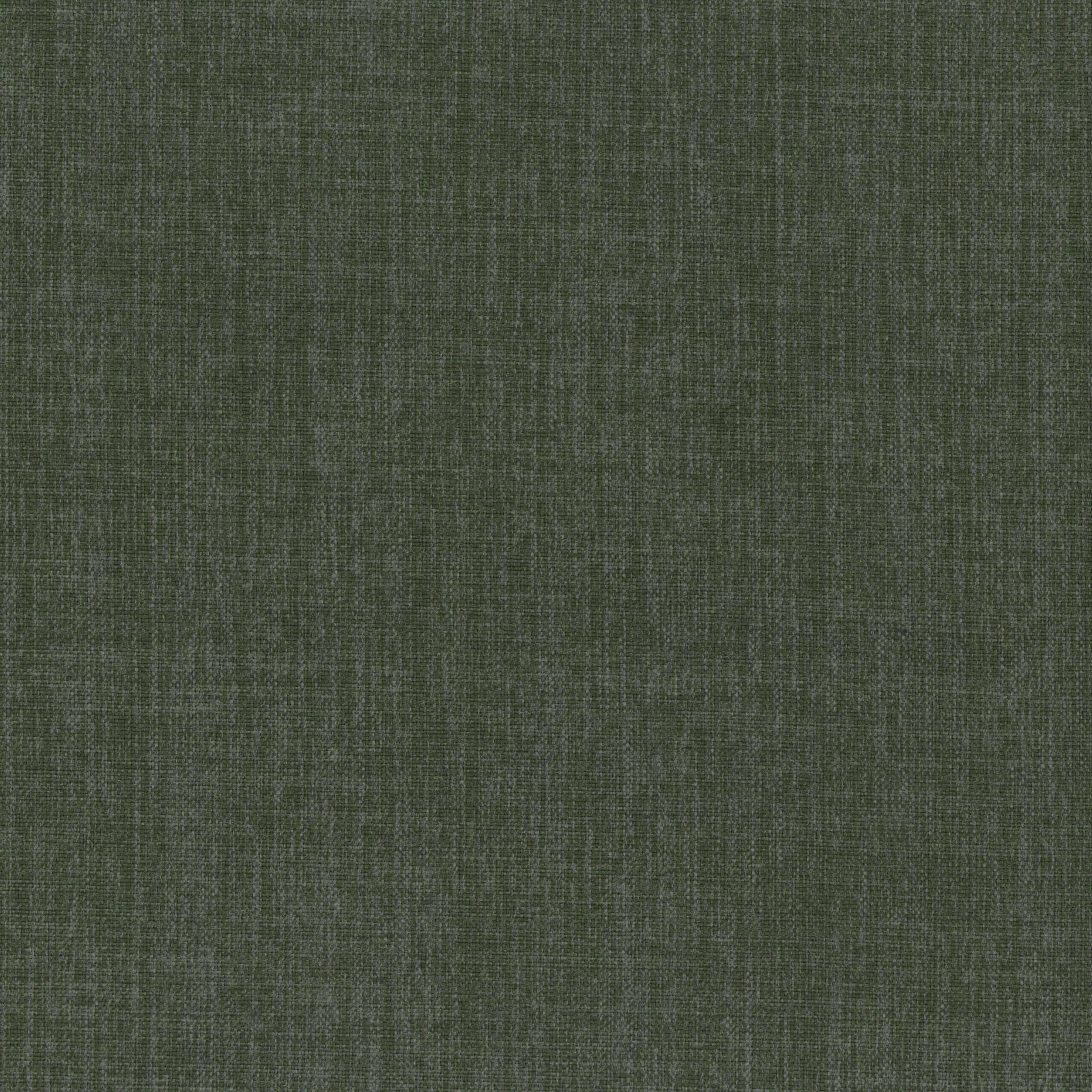 Basil 88 | Capri
