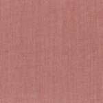 Rose 92 | Capri