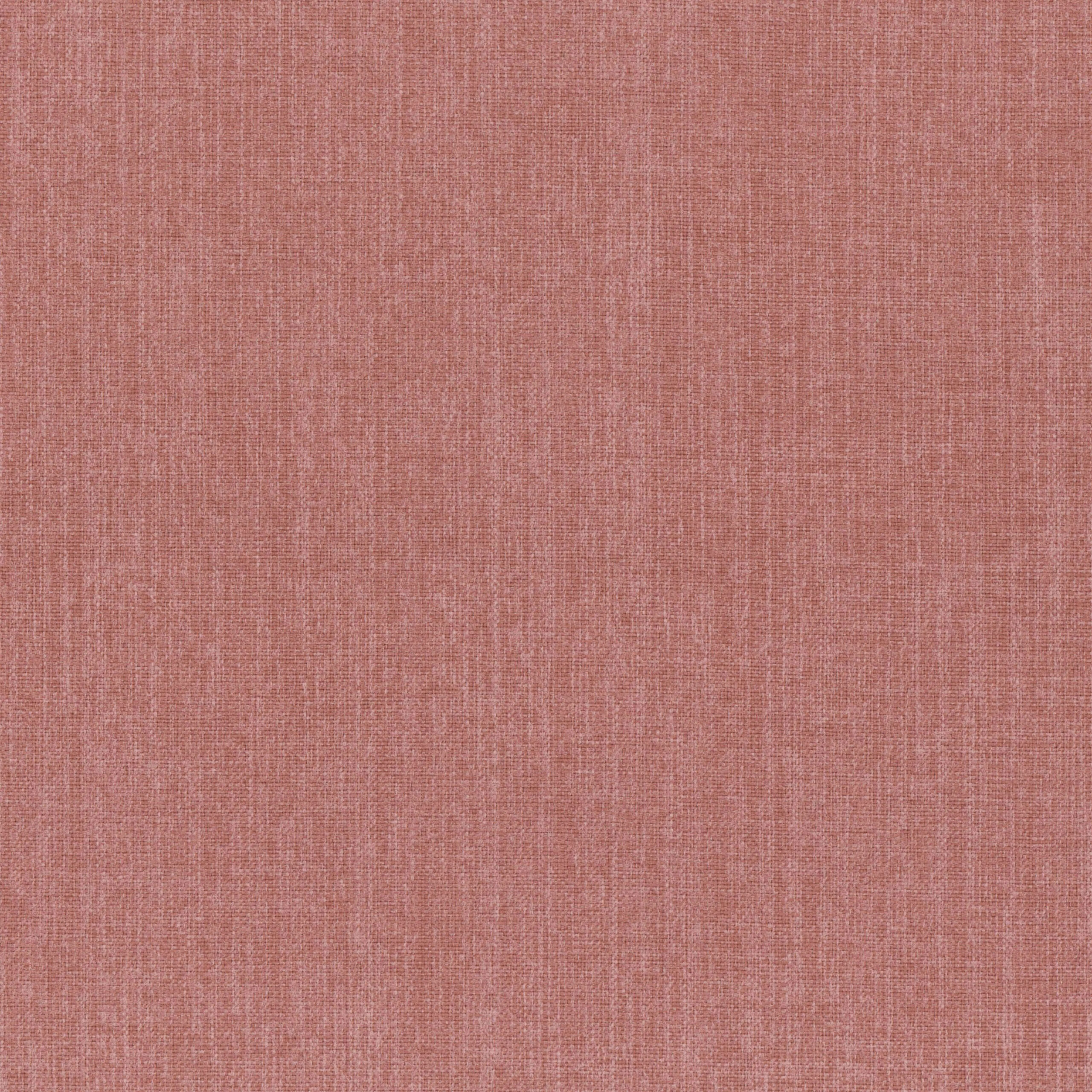 Rose 92 | Capri