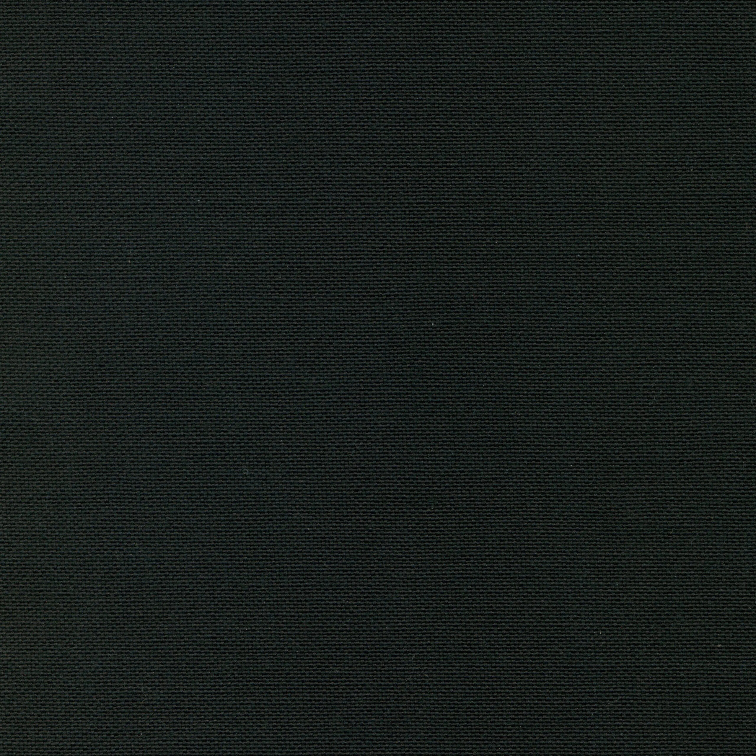 Onyx 01 | Carla