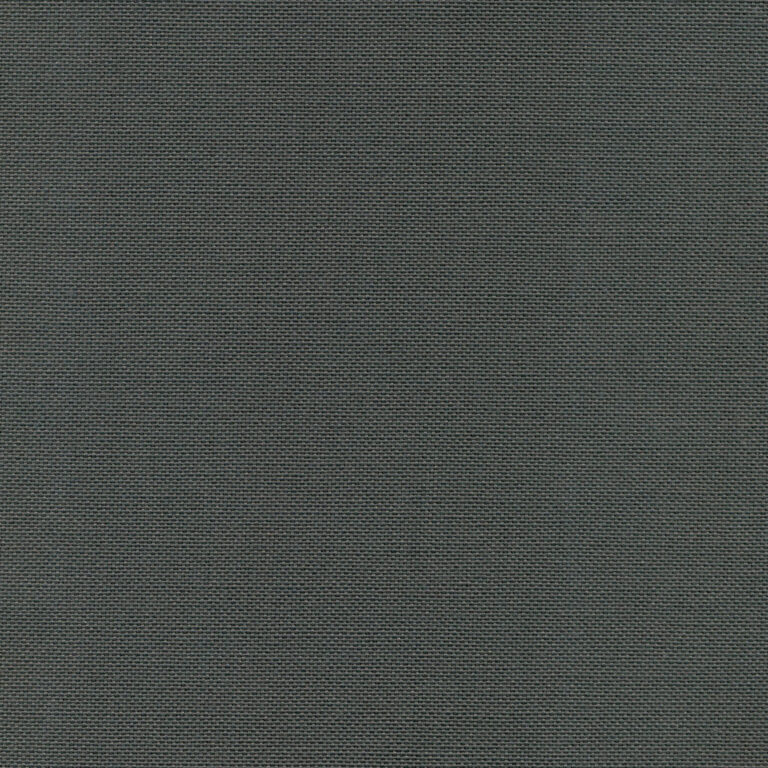 Chinchilla 04