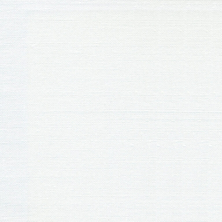 Snow 09