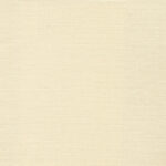 Ivory 11 | Carla