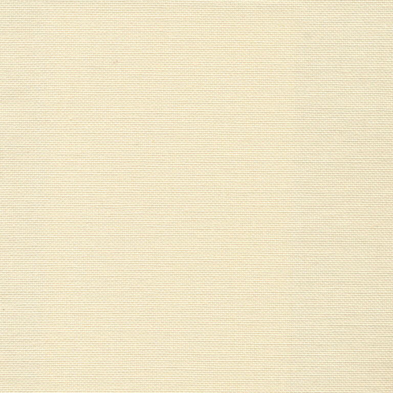 Ivory 11