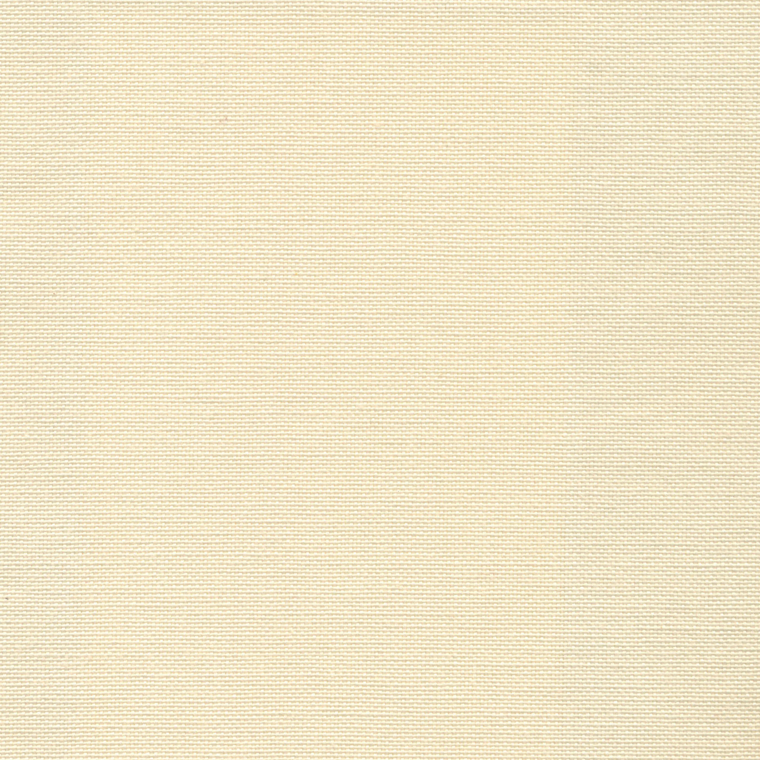 Ivory 11 | Carla