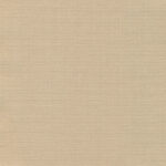 Sand 12 | Carla