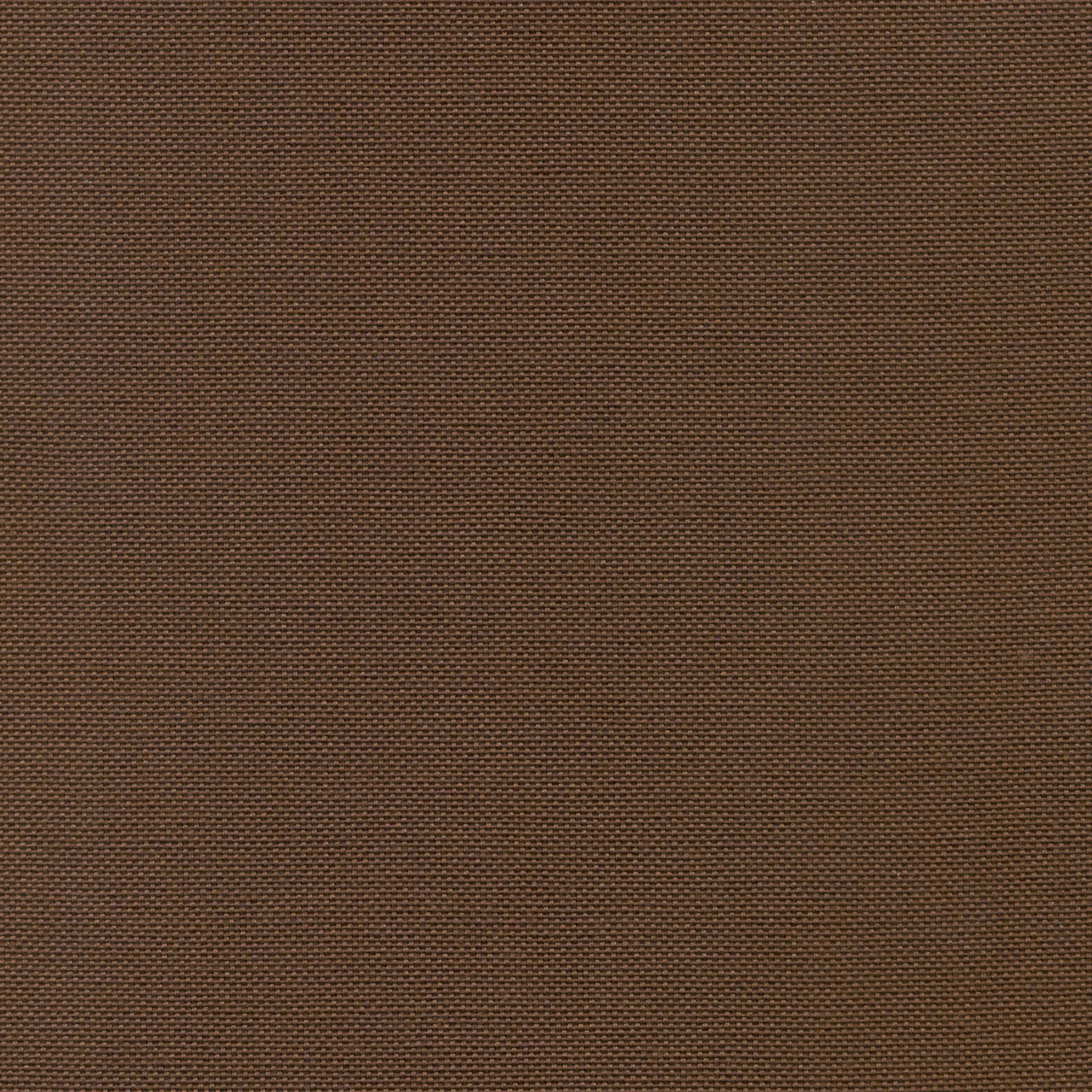 Chestnut 17 | Carla