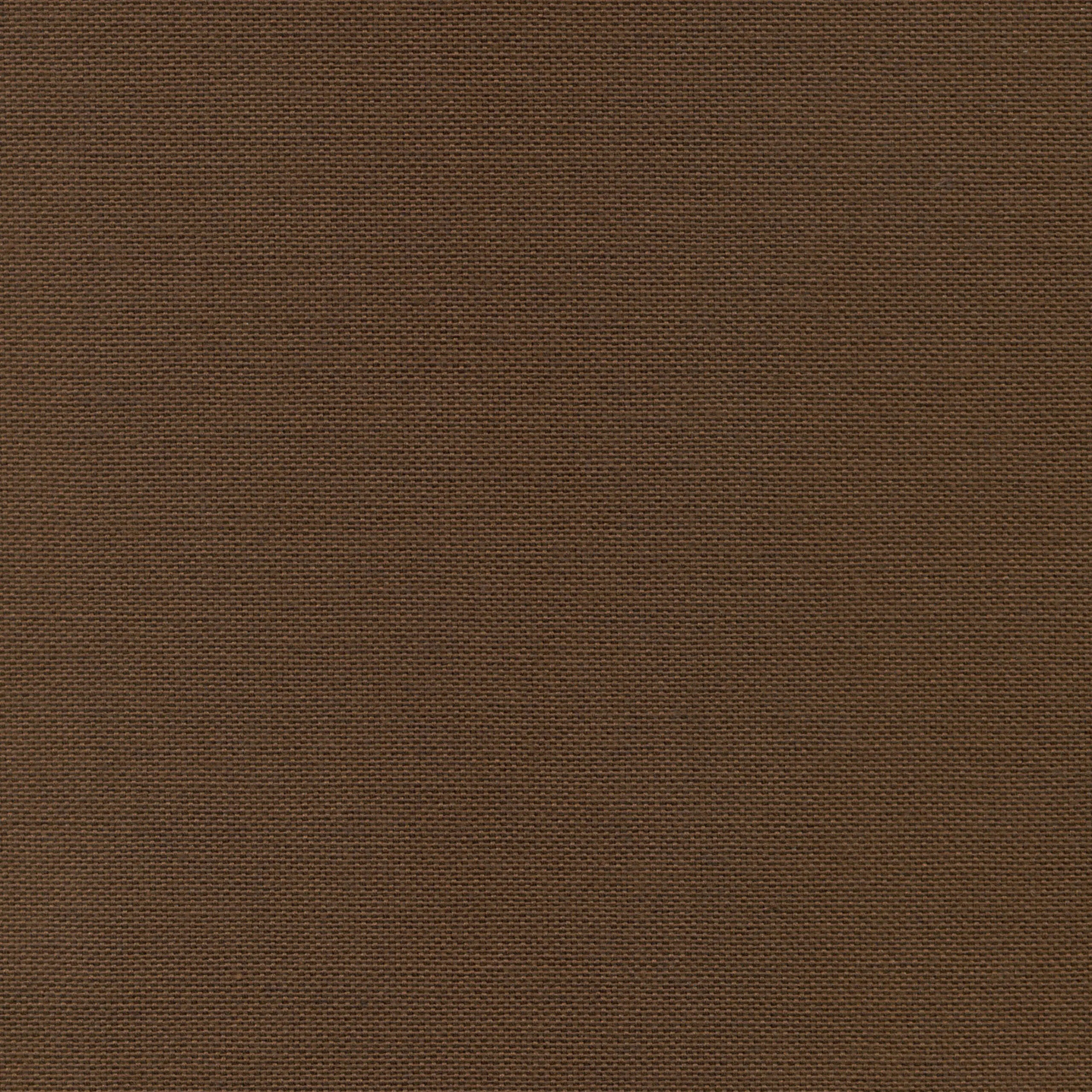 Chocolate 19 | Carla