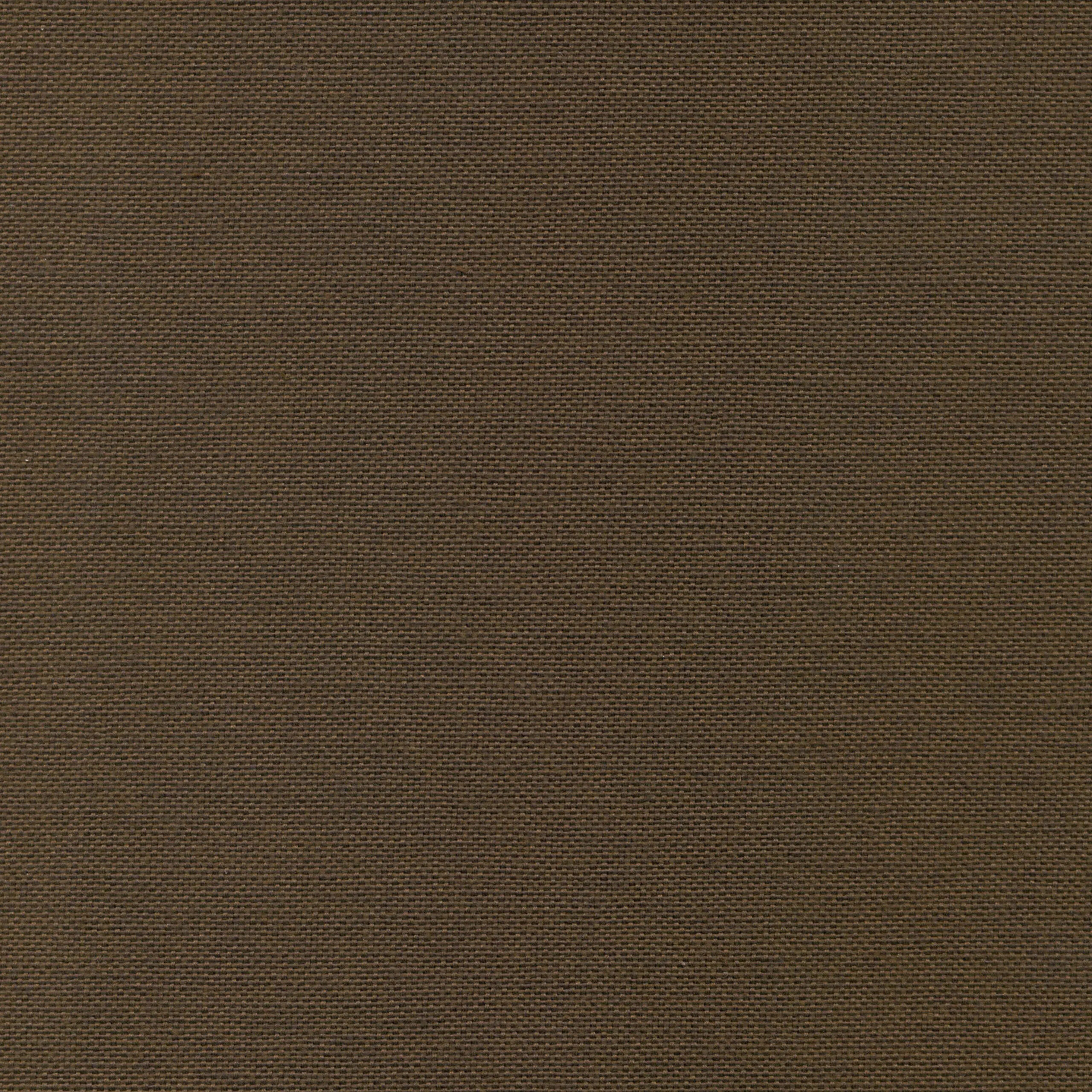 Cacao 20 | Carla