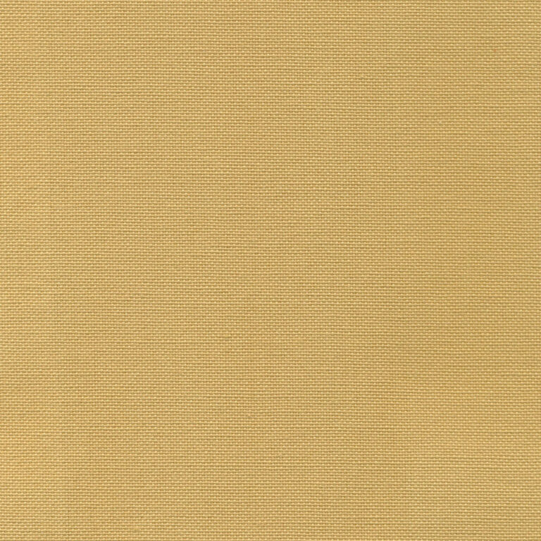Marzipan 24