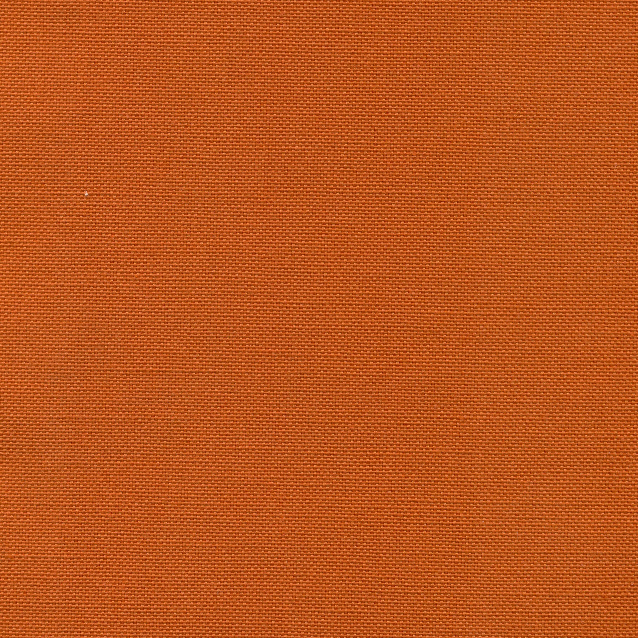 Terracotta 25 | Carla