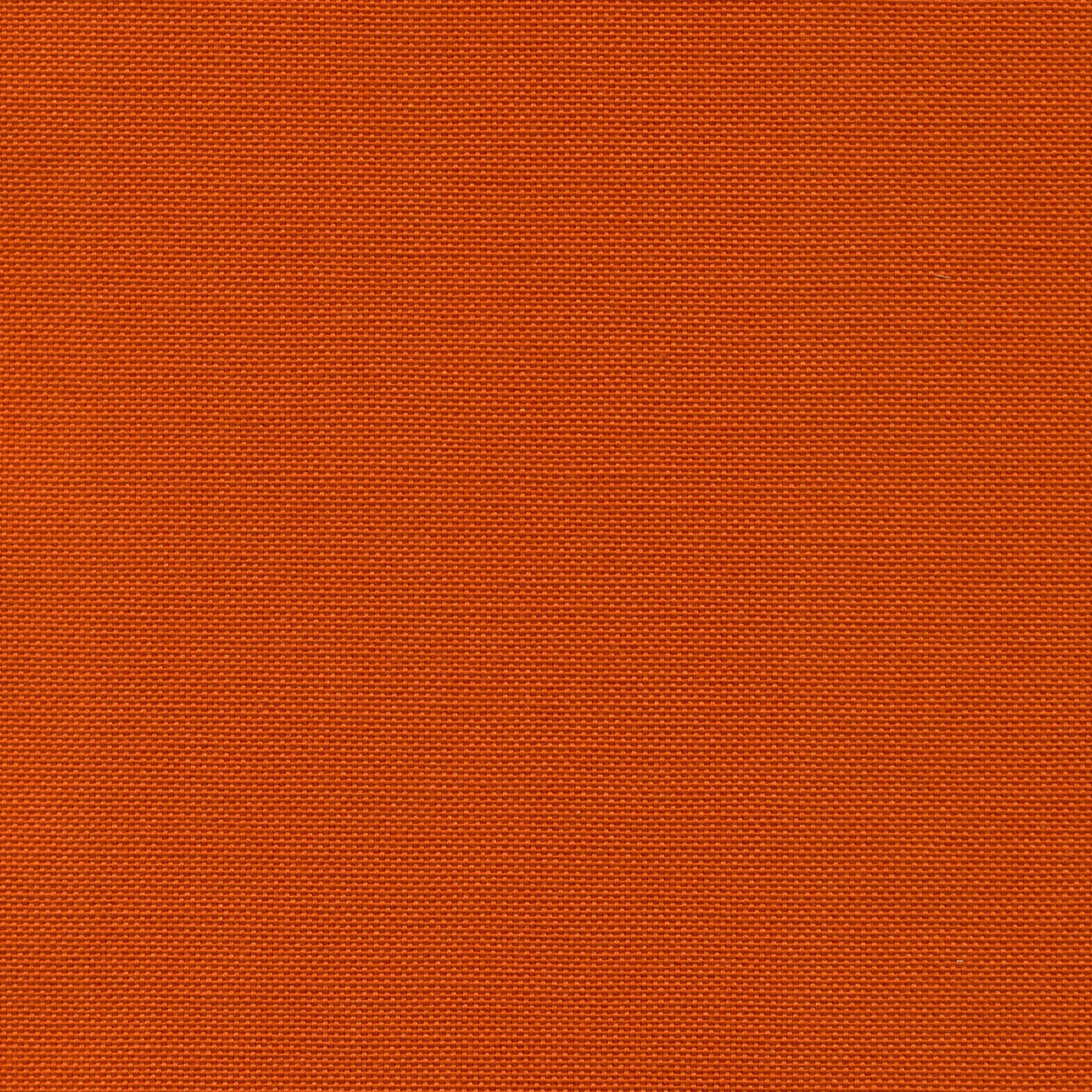 Tangerine 26 | Carla