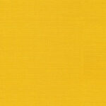 Sunflower 30 | Carla