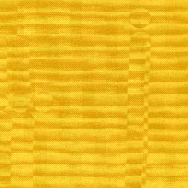 Sunflower 30