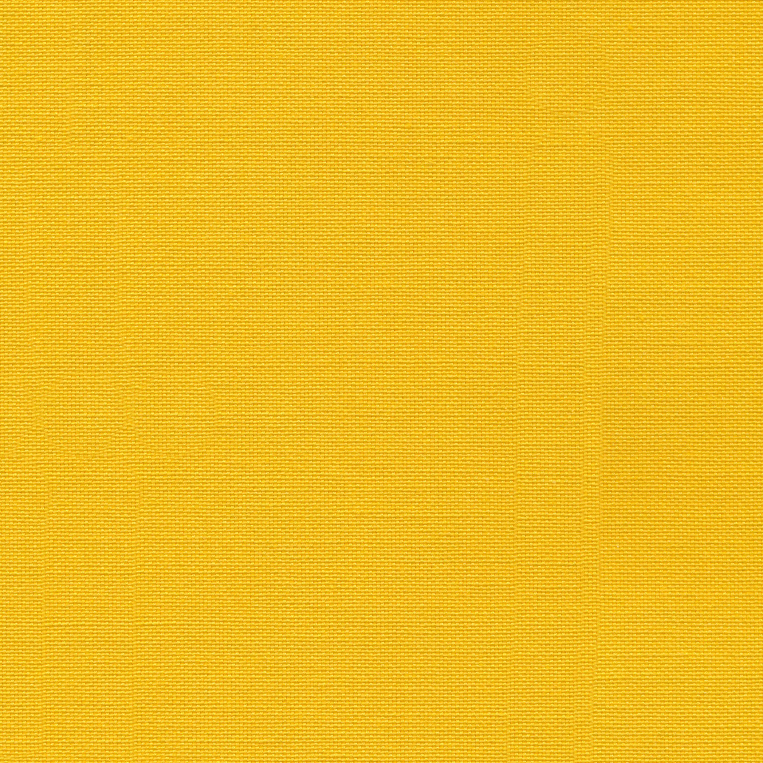 Sunflower 30 | Carla