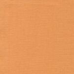 Apricot 35 | Carla