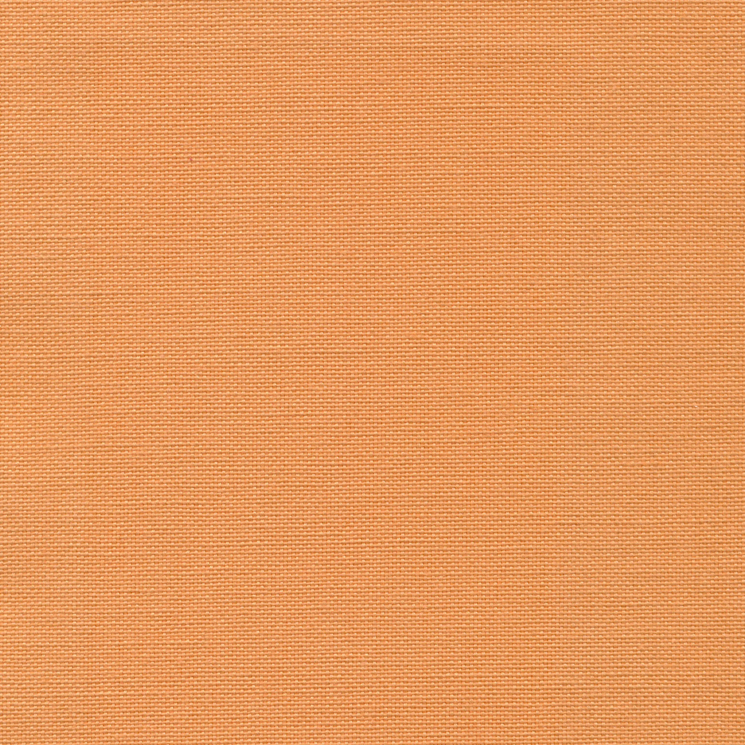 Apricot 35 | Carla
