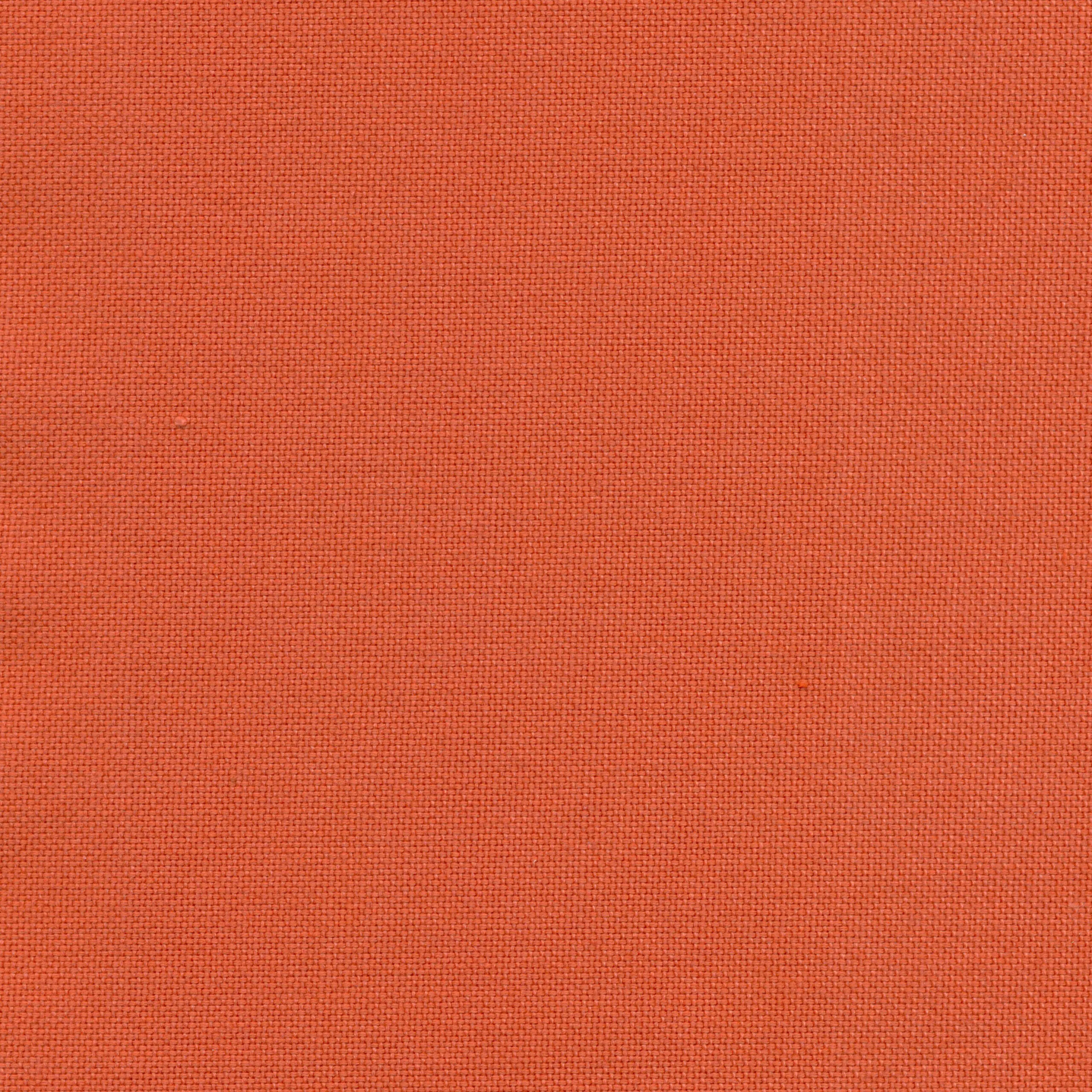 Coral 36 | Carla