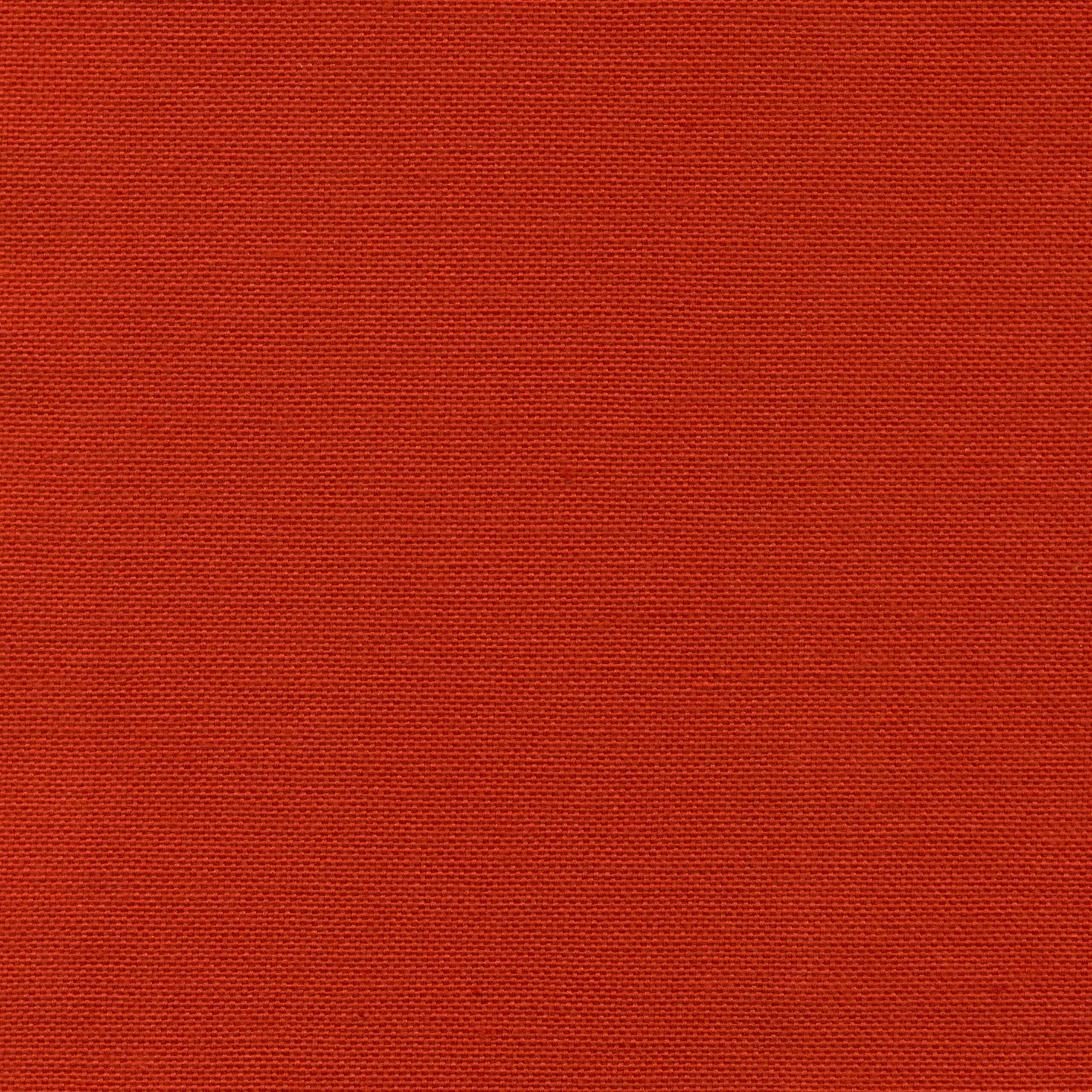 Strawberry 37 | Carla