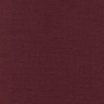 Plum 42 | Carla