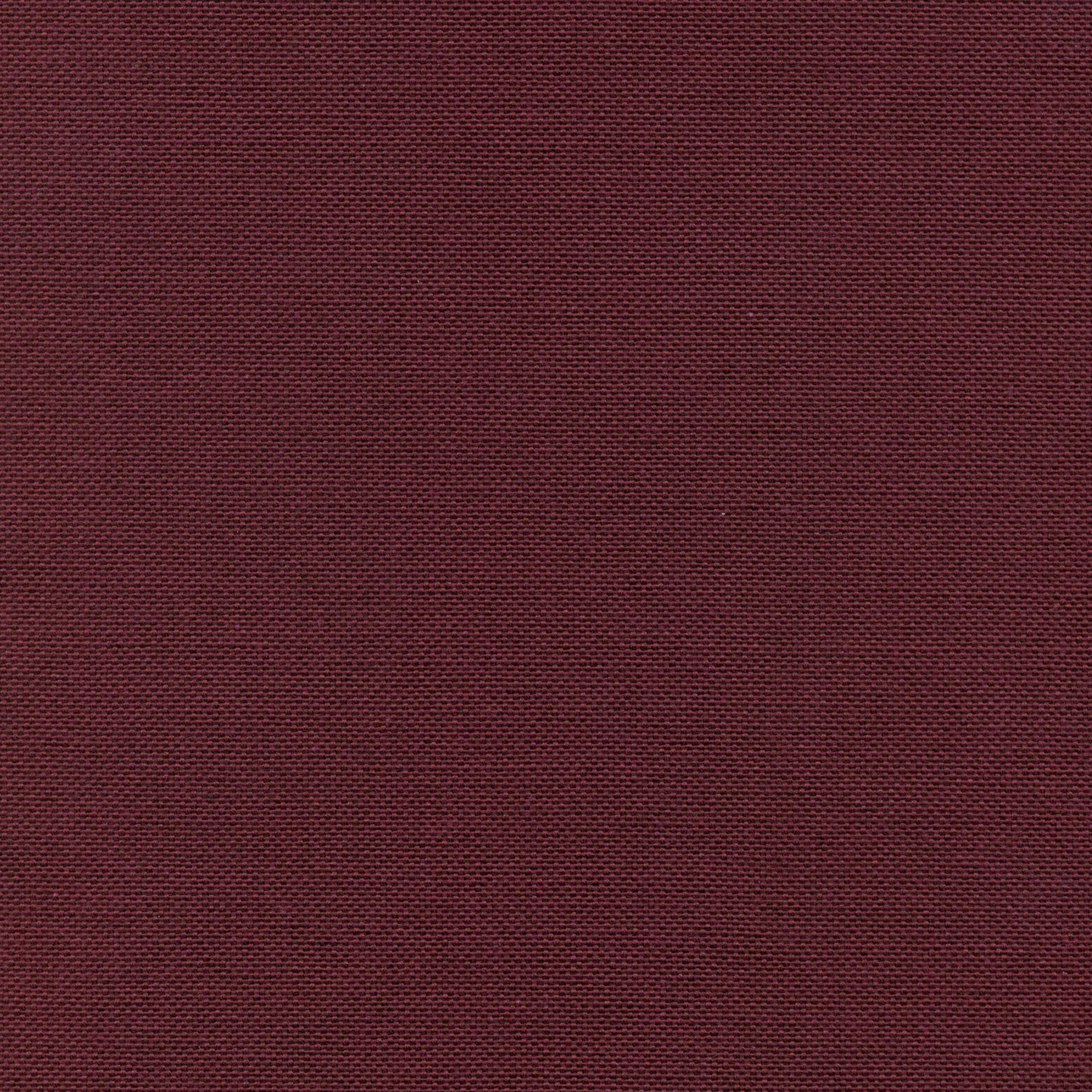 Plum 42 | Carla