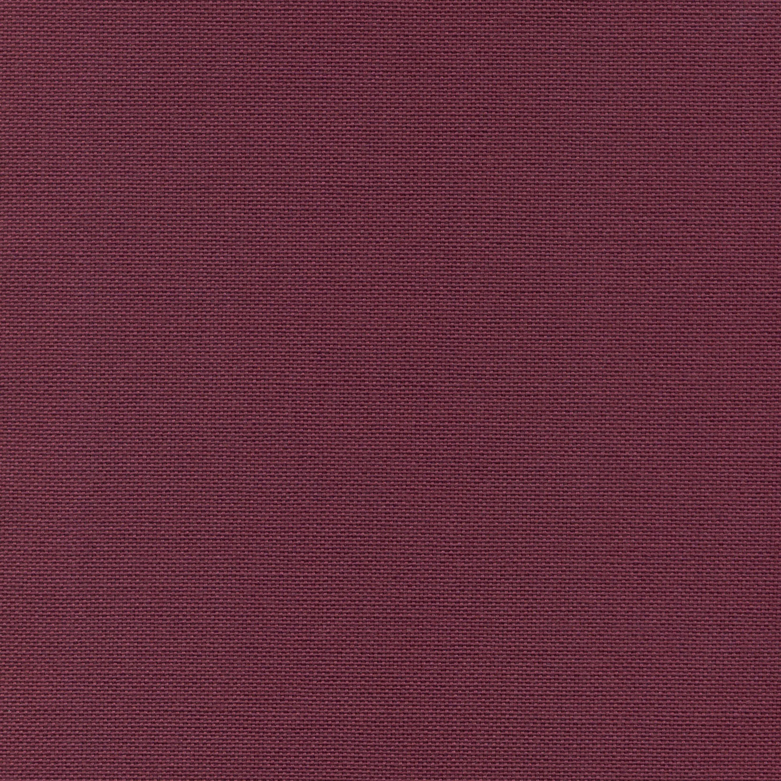 Magenta 43 | Carla