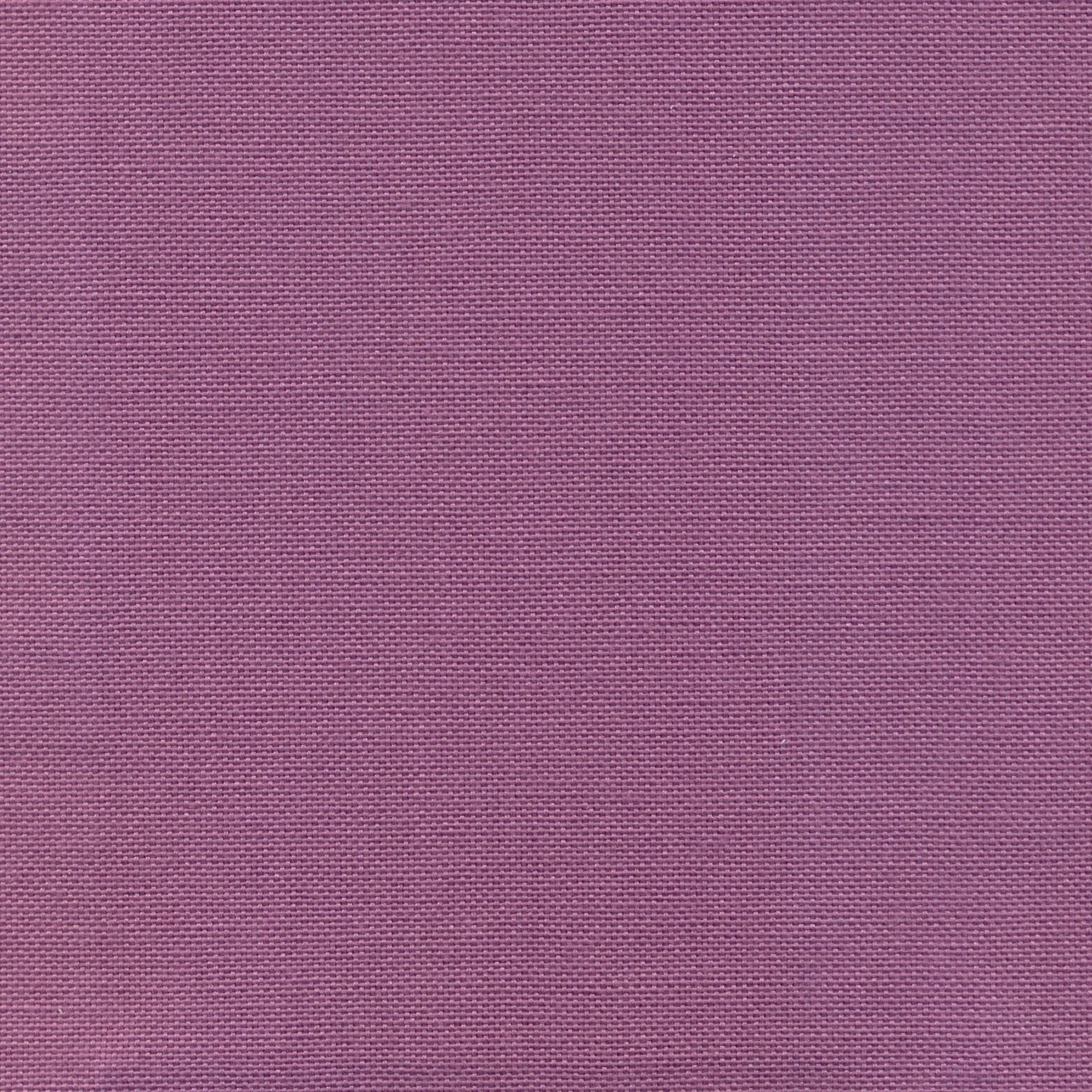 Violet 48 | Carla
