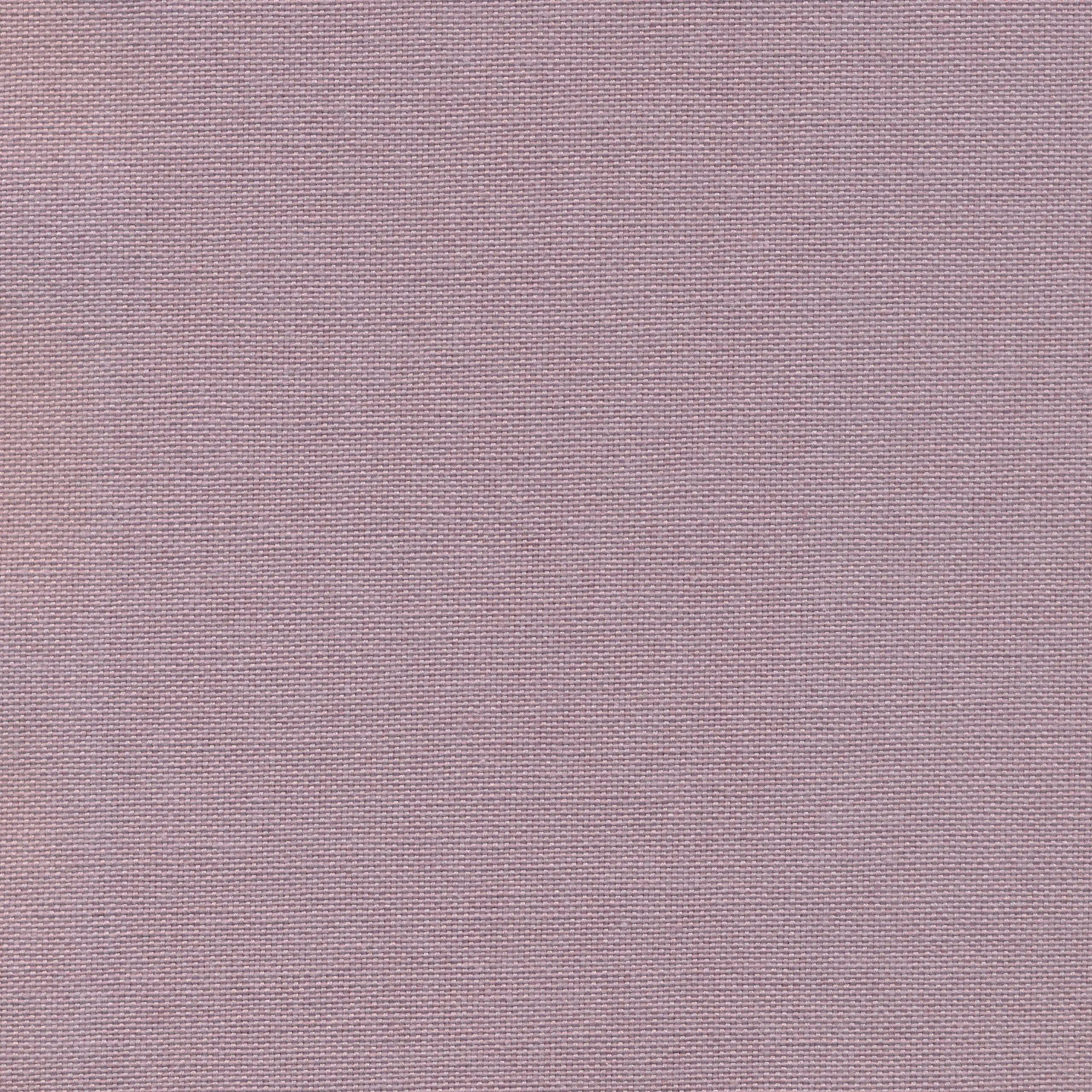 Lilac 52 | Carla