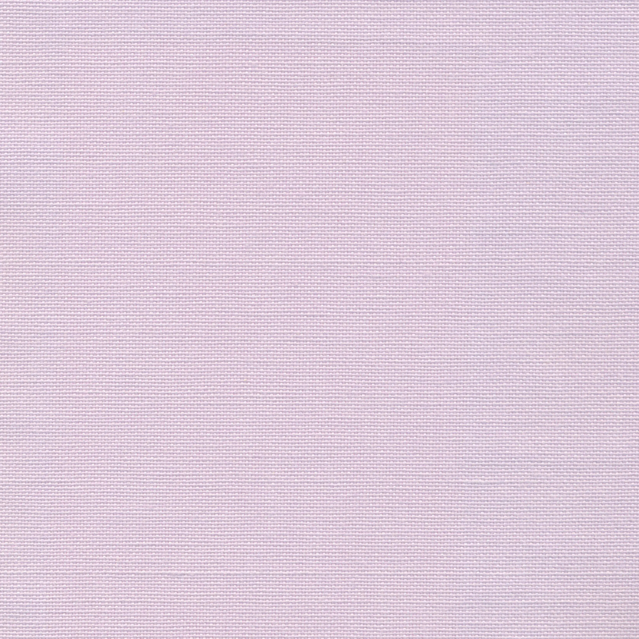 Petal 53 | Carla