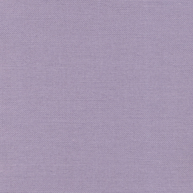 Orchid 54