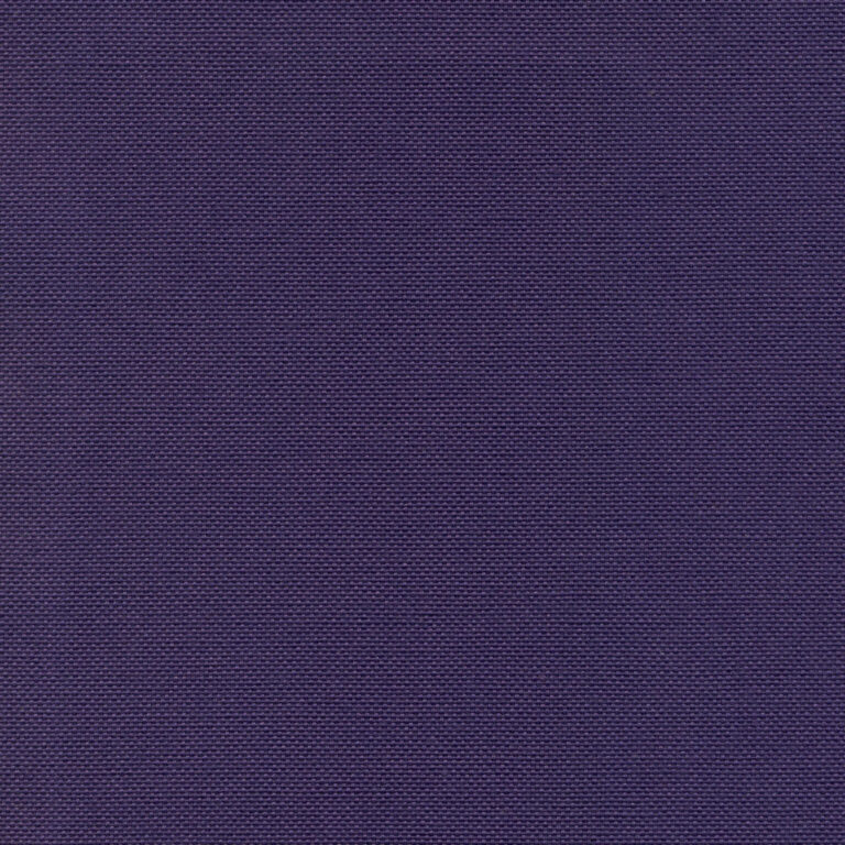 Eggplant 57