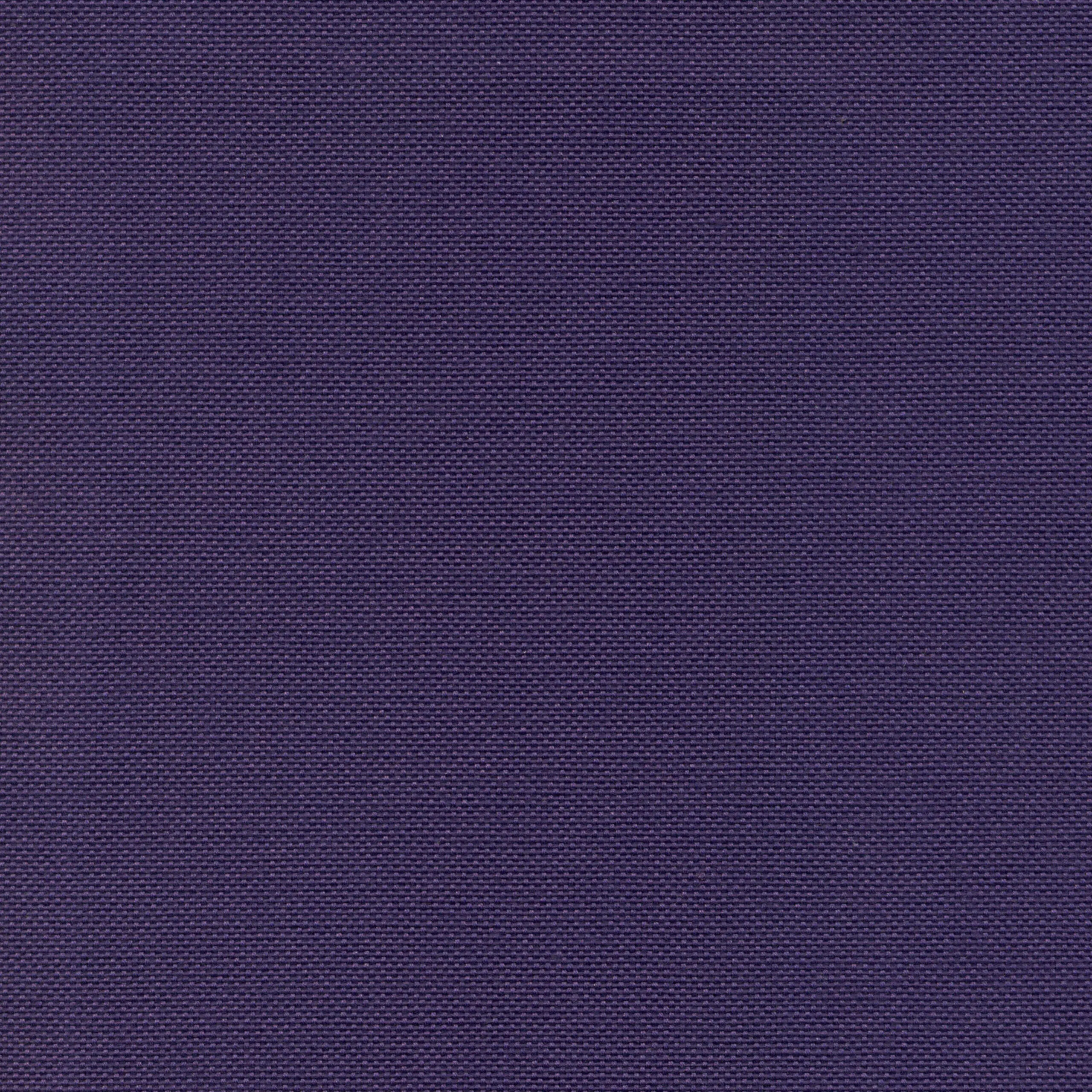 Eggplant 57 | Carla