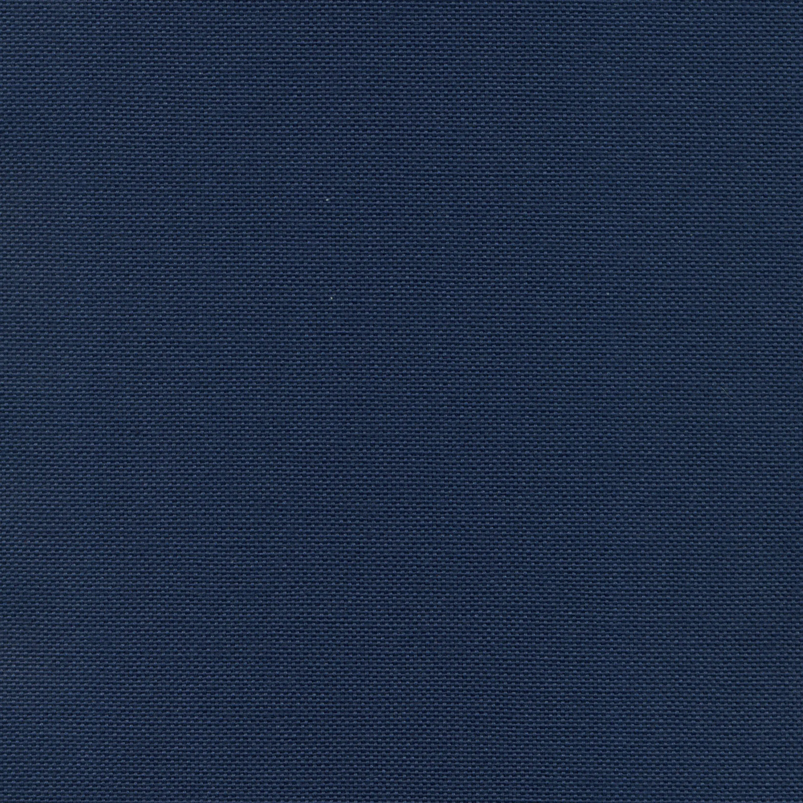 Indigo 59 | Carla