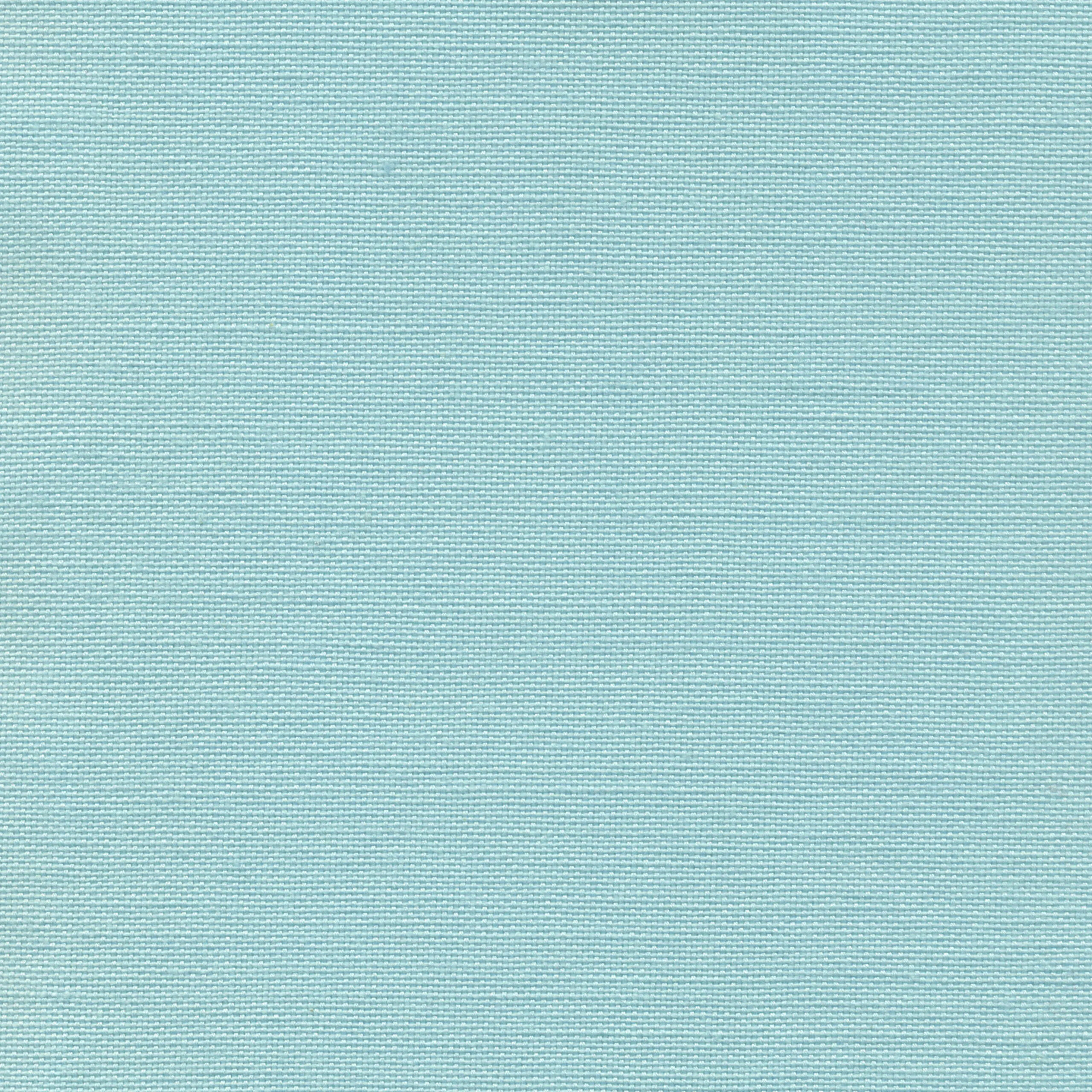 Haze 63 | Carla