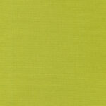 Lime 66 | Carla
