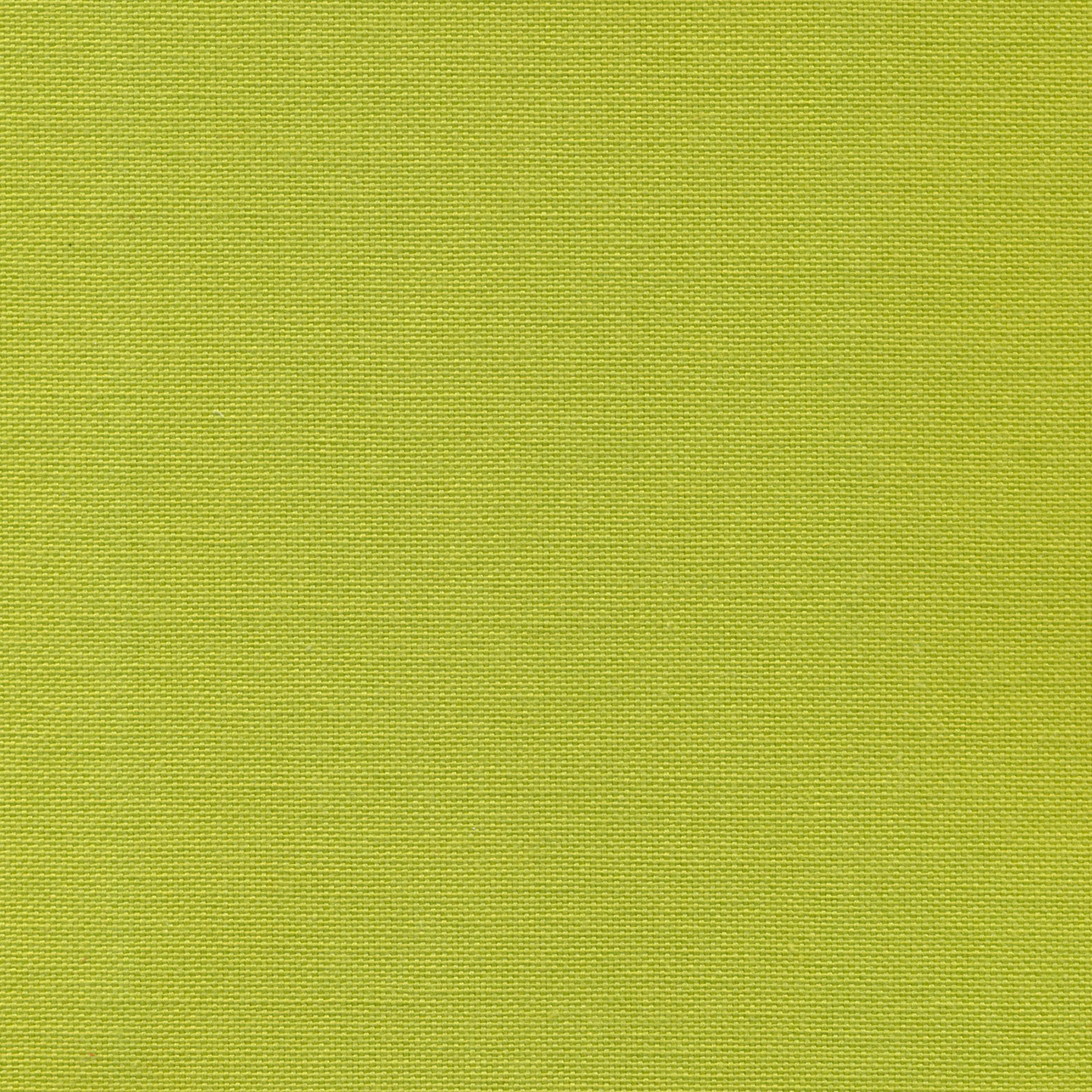 Lime 66 | Carla