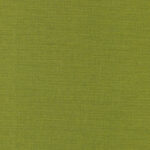 Olive 69 | Carla