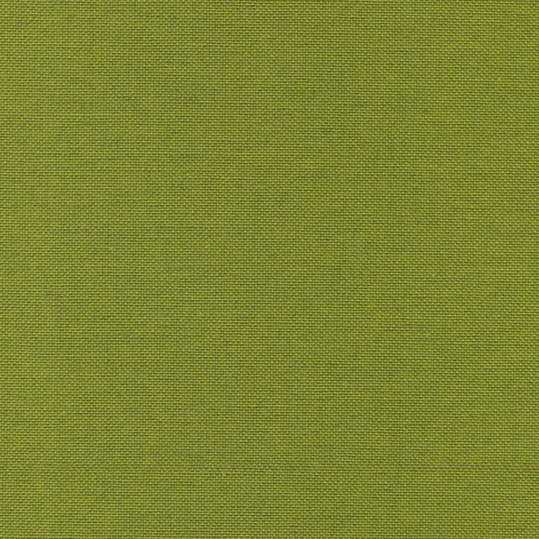 Olive 69