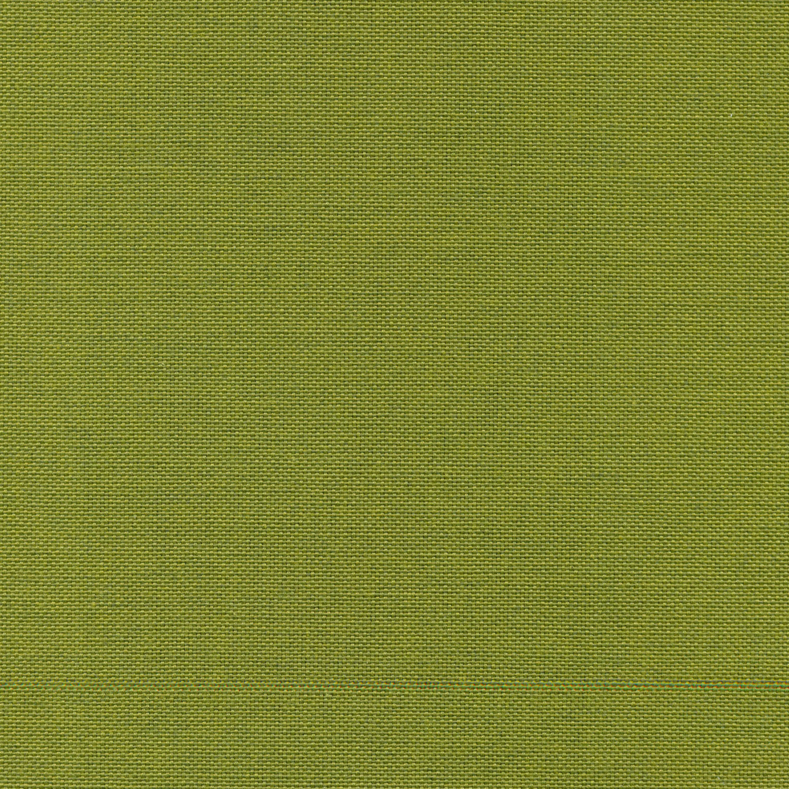 Olive 69 | Carla