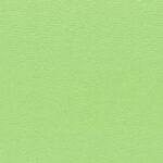 Apple 80 | Carmelo FR