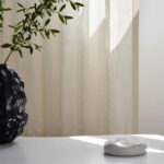 Coconut Milk 24 | Cascata