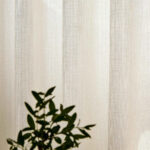 Coconut Milk 24 | Cascata