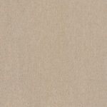 Sahara 04 | Cassander