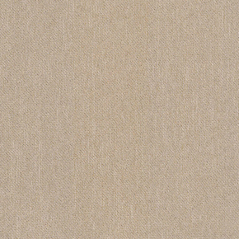 Sahara 04