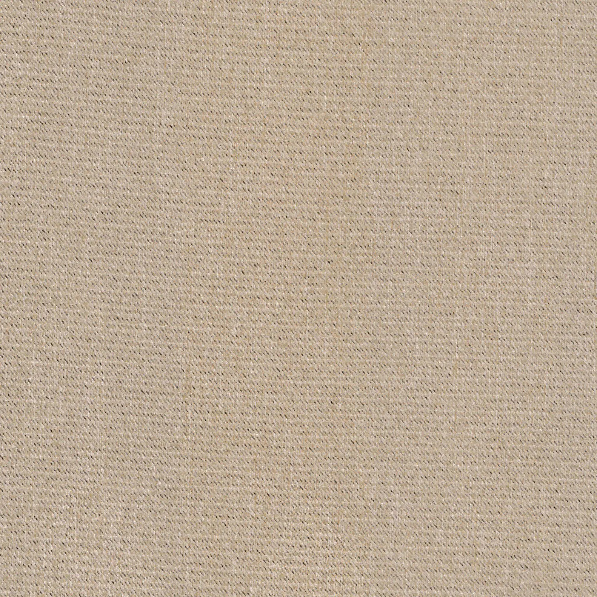Sahara 04 | Cassander