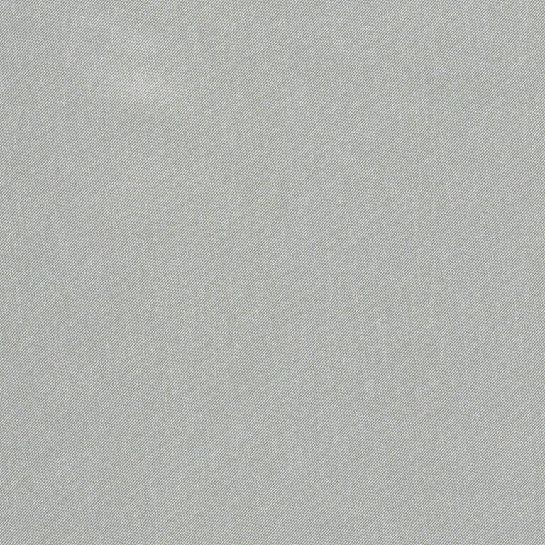 Silver 07