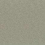 Elephant Skin 11 | Cavo
