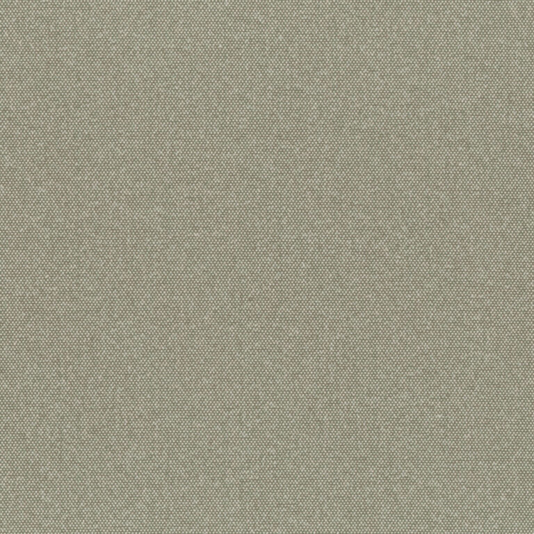Elephant Skin 11